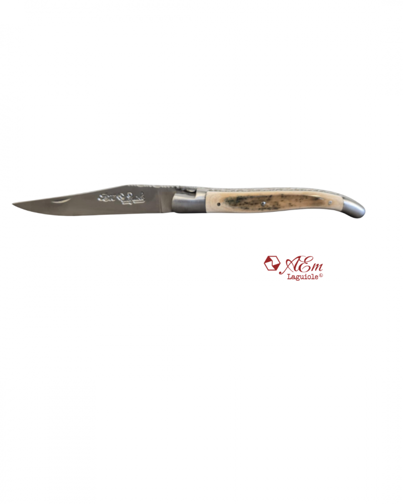 Le croûte de Mammouth