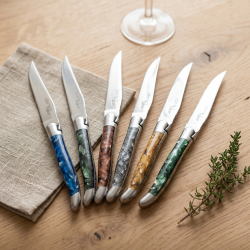 Couteaux de Table corne Broyée dans la résine