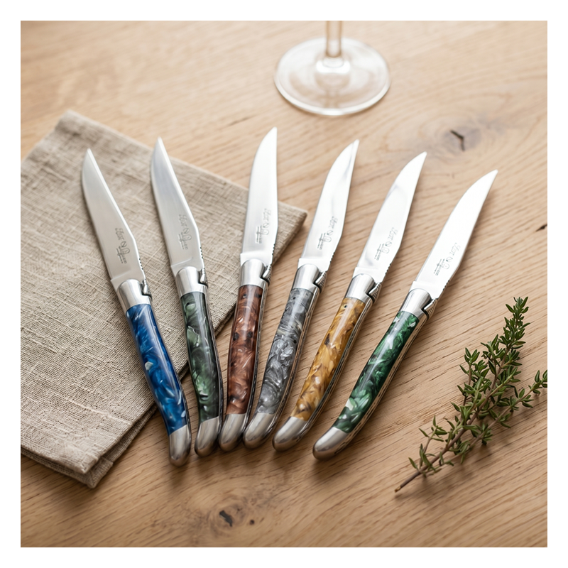 Couteaux de Table corne Broyée dans la résine